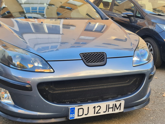 Peugeot 407 заместител за емблема