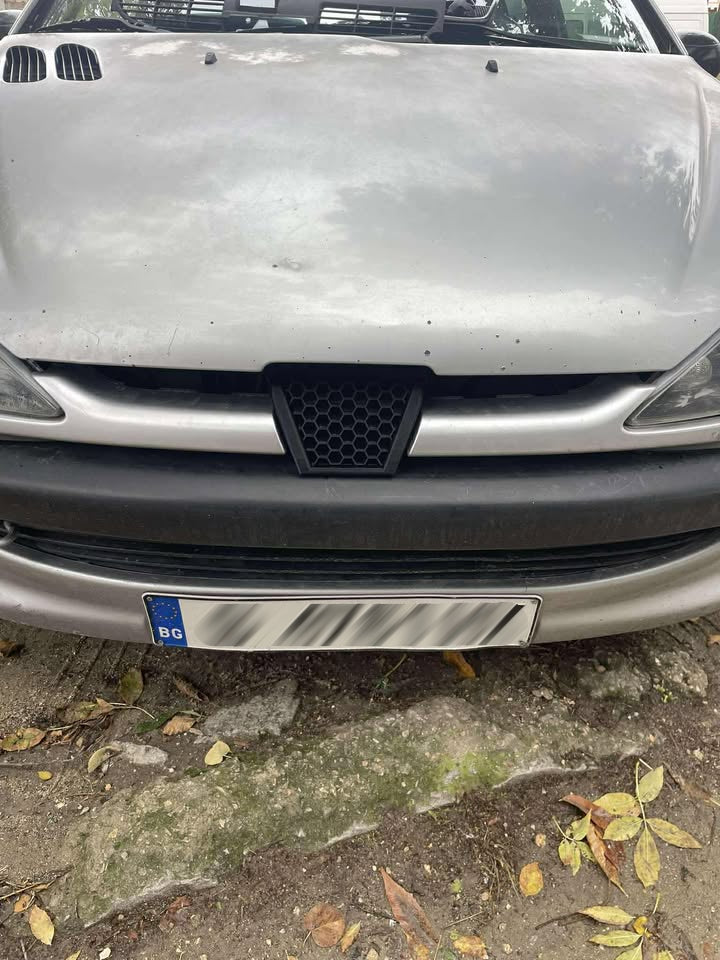 Peugeot 206 заместител за емблема в стил "пчена пита"