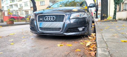 Audi A3 8P Facelift Решетки за броня
