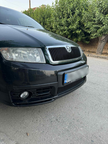 Решетки за броня Skoda Fabia VRS MK1