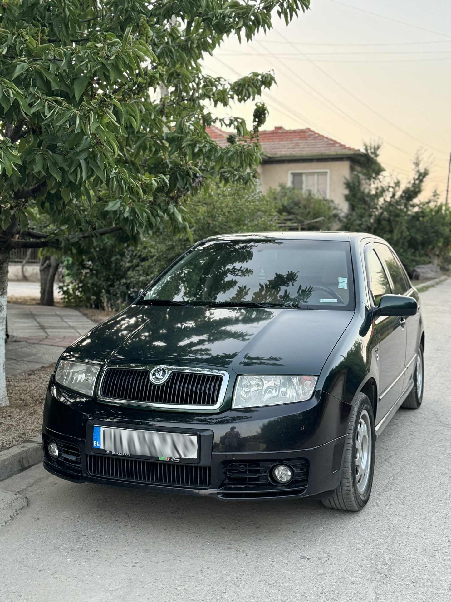 Решетки за броня Skoda Fabia VRS MK1