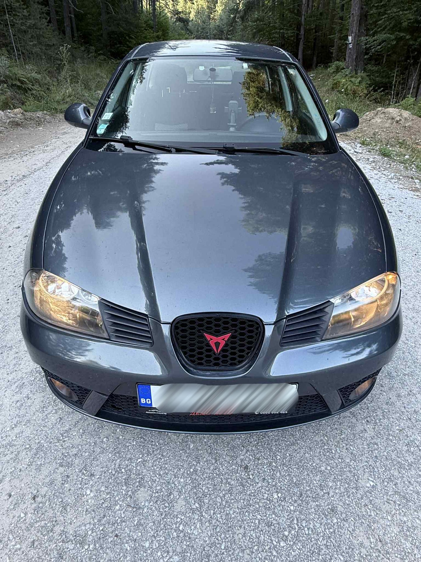 Seat Ibiza 6L Средна решетка