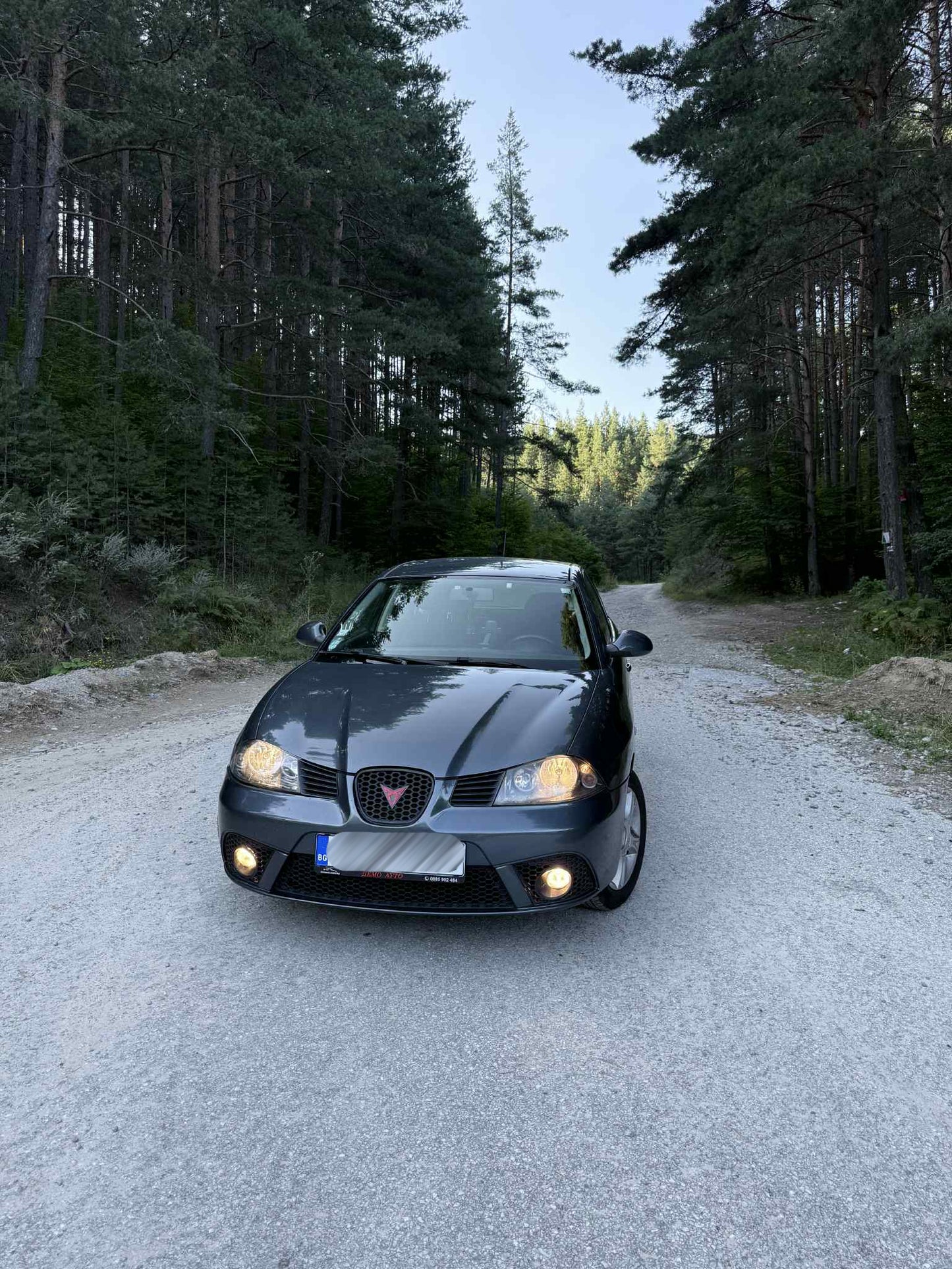 Seat Ibiza 6L Средна решетка